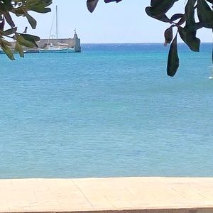 Meet your Posher, Dimitra